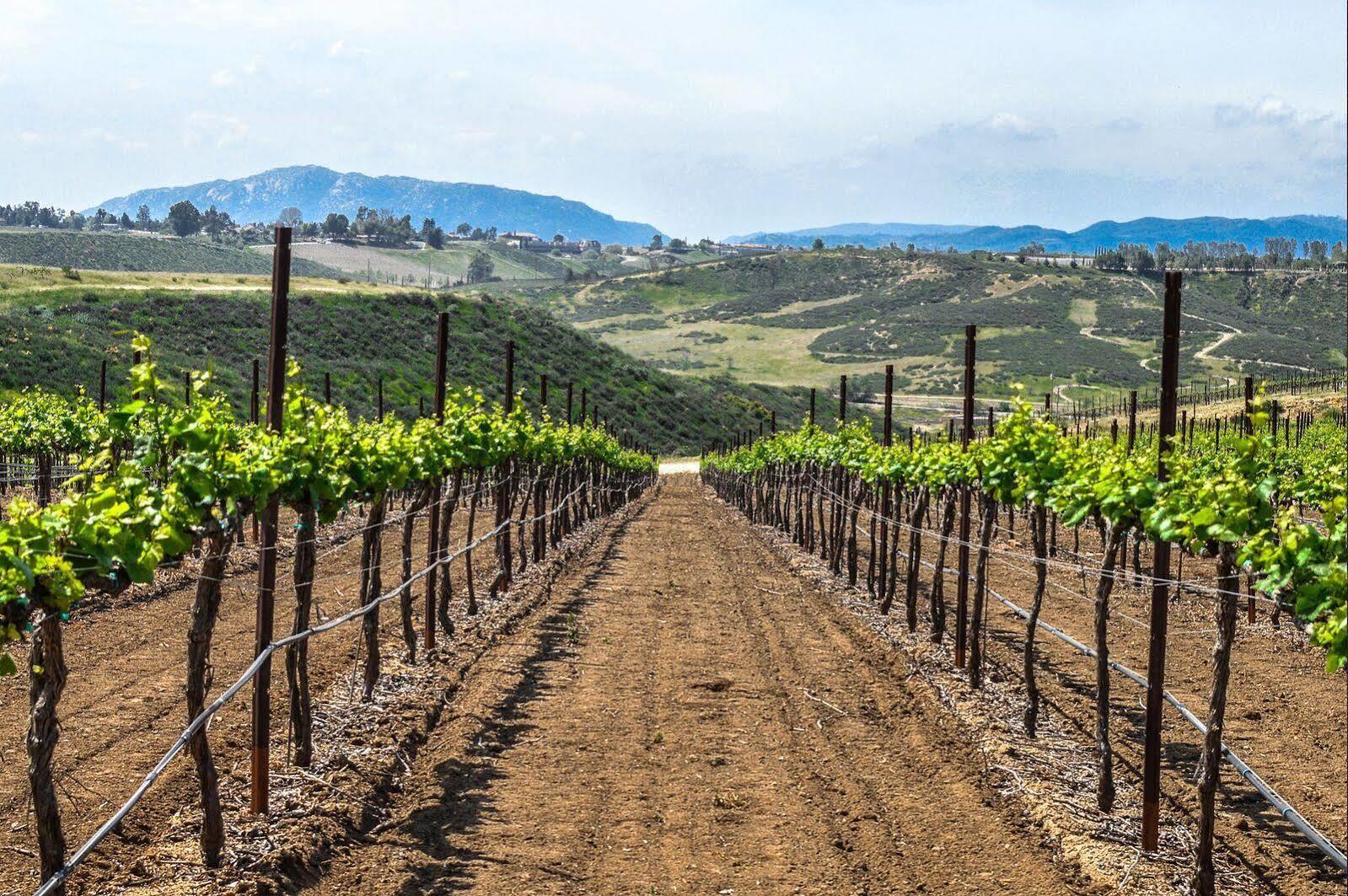Carter Estate Winery And Resort Temecula Luaran gambar