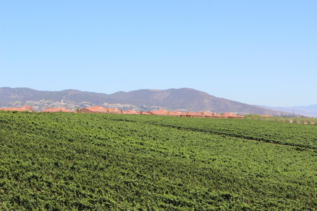 Carter Estate Winery And Resort Temecula Luaran gambar